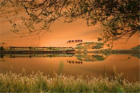 云南专升本成考考试科目有哪些？