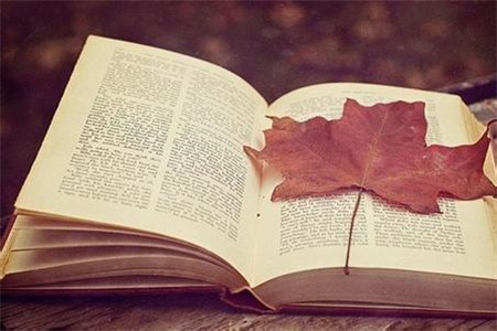 云南专升本成考与统招专升本的区别