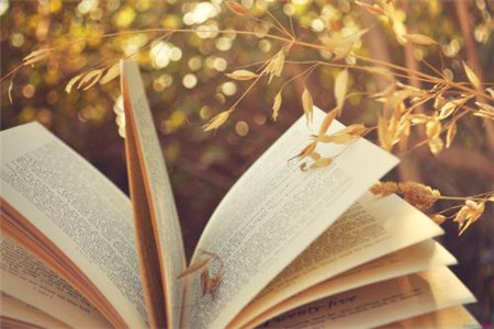 云南专升本成考英语答题技巧