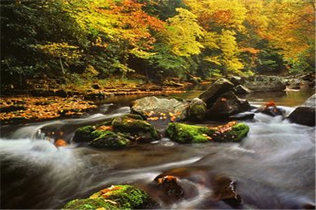 云南成人高考专升本与统招专升本的区别