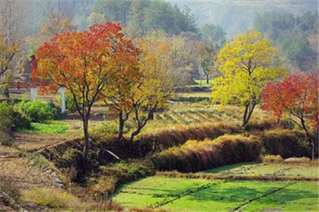 云南成考专升本考场规则