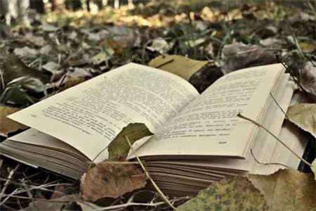 玉溪专升本志愿怎么填?