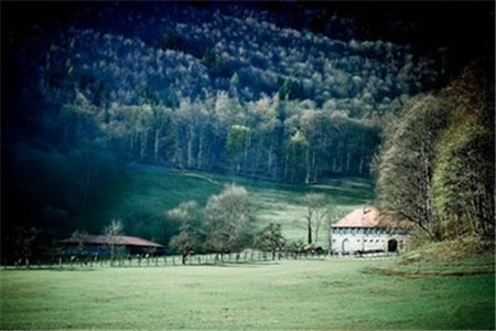 云南统招专升本报考流程