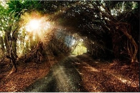 美术生考云南专升本难吗?