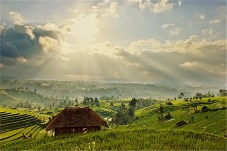 中医专升本考哪些科目?