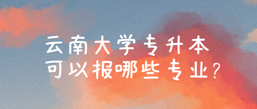 云南大学专升本可以报哪些专业?