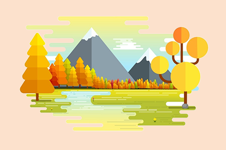 云南省专升本报名费多少钱