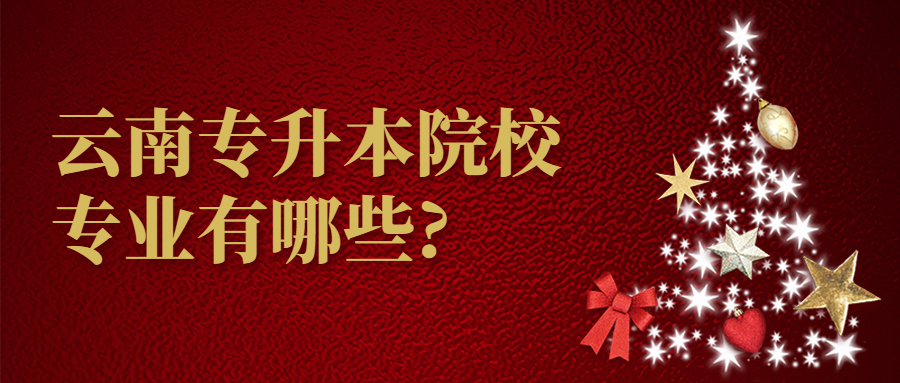 云南专升本院校专业有哪些?