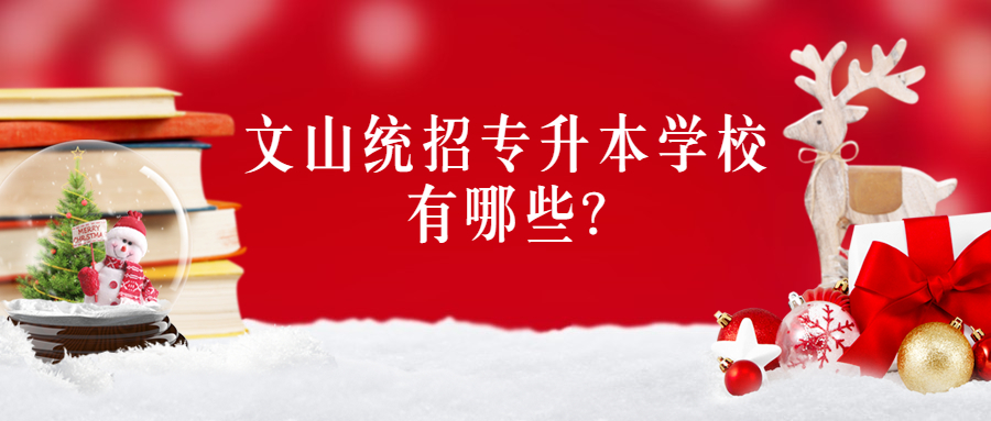 文山统招专升本学校有哪些?