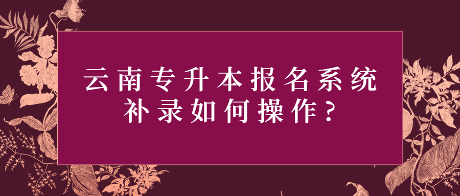 云南专升本报名系统补录如何操作?