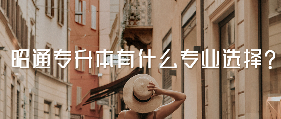 昭通专升本有什么专业选择?