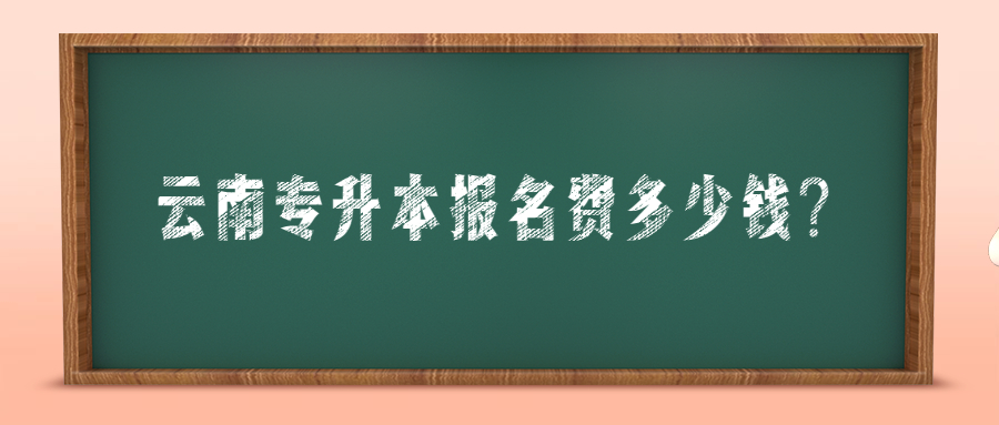 云南专升本报名费多少钱?