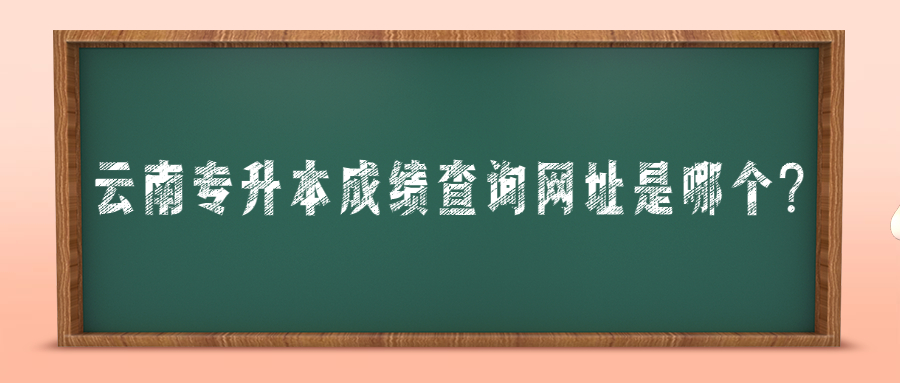 云南专升本成绩查询网址是哪个?