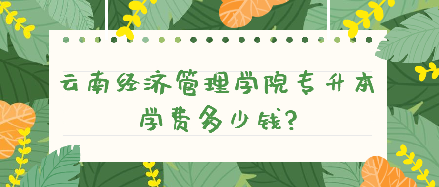 云南经济管理学院专升本学费多少钱?