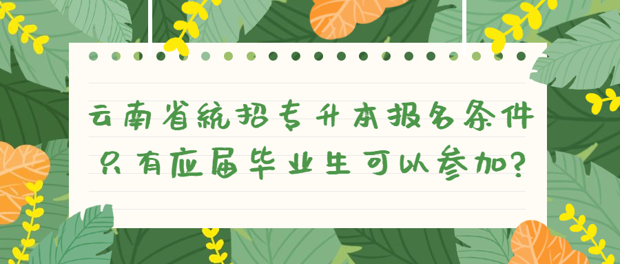 云南省统招专升本报名条件只有应届毕业生可以参加?