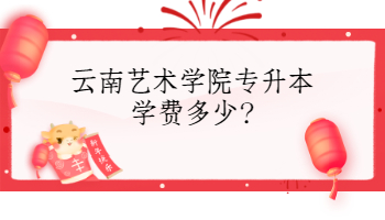 云南艺术学院专升本学费多少?