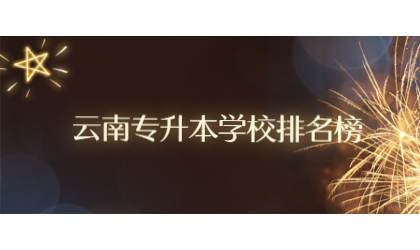 云南专升本学校排名榜