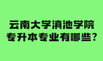 云南大学滇池学院专升本专业有哪些?