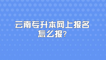 云南专升本网上报名怎么报?