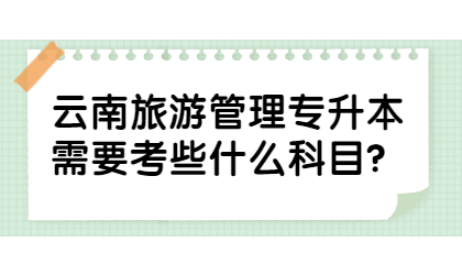 云南旅游管理专升本需要考些什么科目？