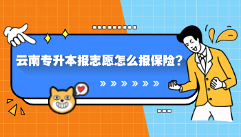 云南专升本报志愿怎么报保险?