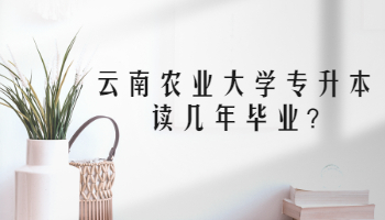 云南农业大学专升本读几年毕业?