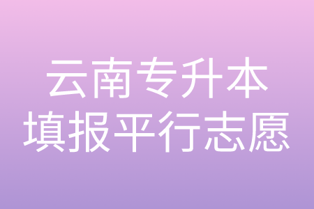 云南专升本填报平行志愿