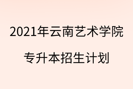 2021年云南艺术学院专升本招生计划.png