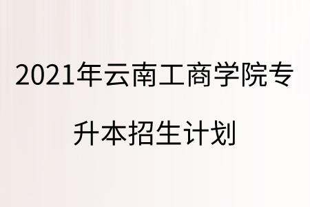 2021年云南工商学院专升本招生计划.png