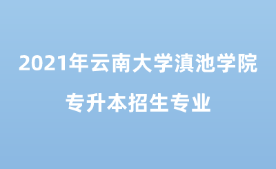 2021年云南大学滇池学院专升本招生专业.png