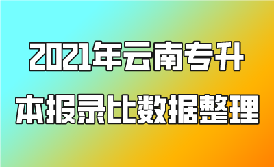 2021年云南专升本报录比数据整理.png