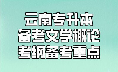 云南专升本备考文学概论考纲备考重点 
