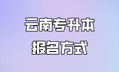 云南专升本报名方式.png