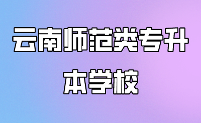 云南师范类专升本学校 
