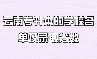 云南专升本的学校名单及录取分数