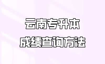 云南专升本成绩查询方法