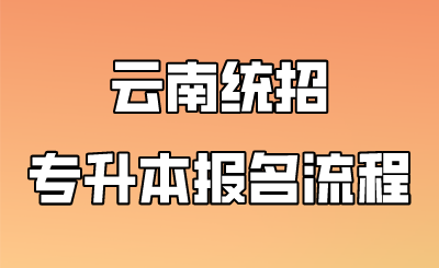 云南统招专升本报名流程.png