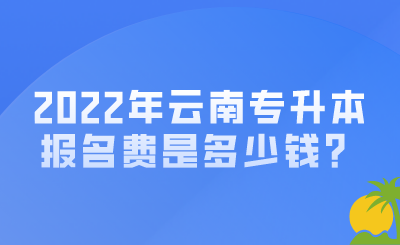 云南专升本报名费
