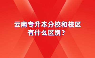 云南专升本分校和校区有什么区别？.png