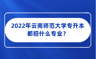 2022年云南师范大学专升本都招什么专业？.png