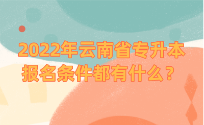 2022年云南省专升本报名条件都有什么？.png