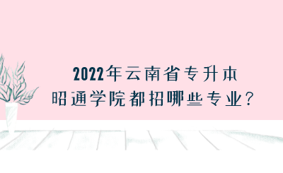 2022年云南省专升本昭通学院都招哪些专业？.png