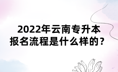2022年云南专升本报名流程是什么样的？.png