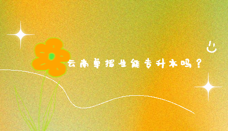 云南单招生能专升本吗？