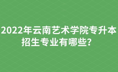 2022年云南艺术学院专升本招生专业有哪些？.jpeg