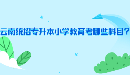 云南统招专升本小学教育考哪些科目？