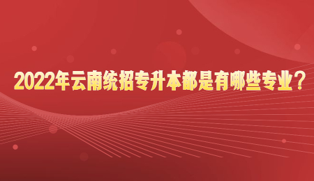 2022年云南统招专升本都是有哪些专业？