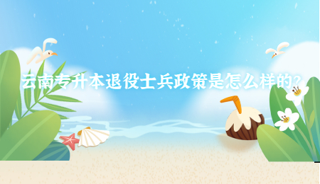 云南专升本退役士兵政策是怎么样的？