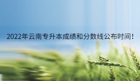 2022年云南专升本成绩和分数线公布时间！ 