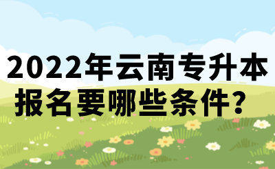 2022年云南专升本报名要哪些条件？.png